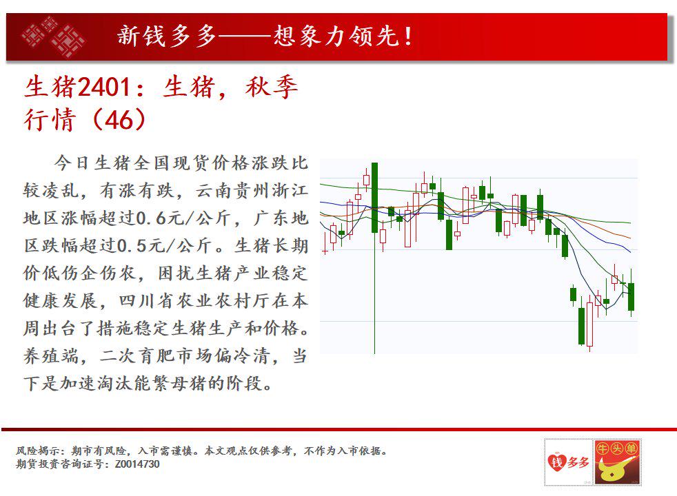 10月24日热卷期货持仓龙虎榜分析：多方离场情绪强于空方