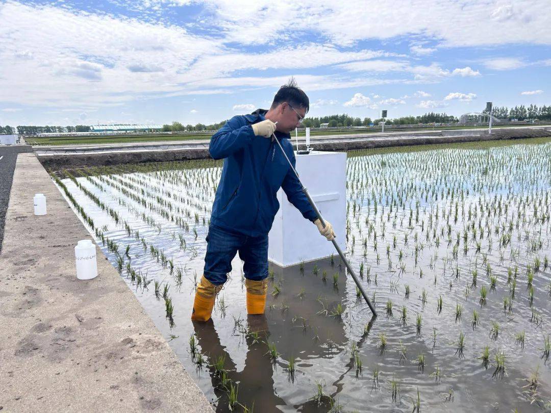 黑龙江：科技赋能 水稻育秧正当时