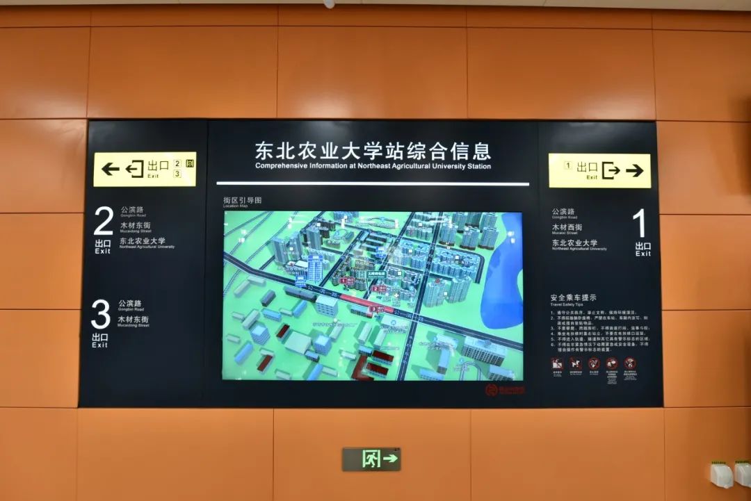 新时代中国调研行之看区域·东北篇|制造变“智造”:数智赋能黑龙江传统制造业转型升级