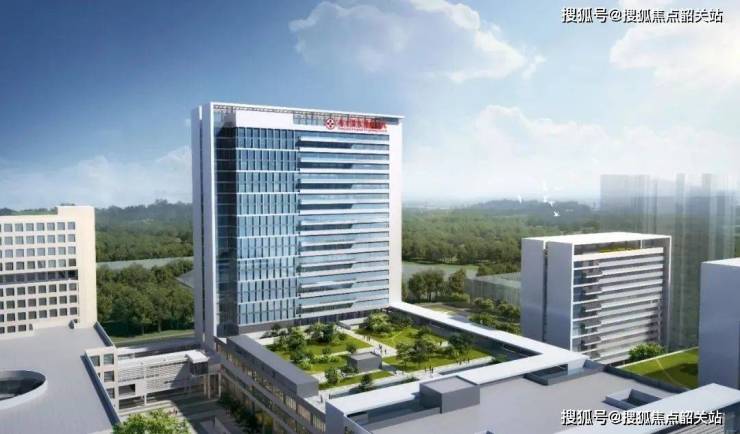 2024年8月16日银川盘螺价格行情最新价格查询
