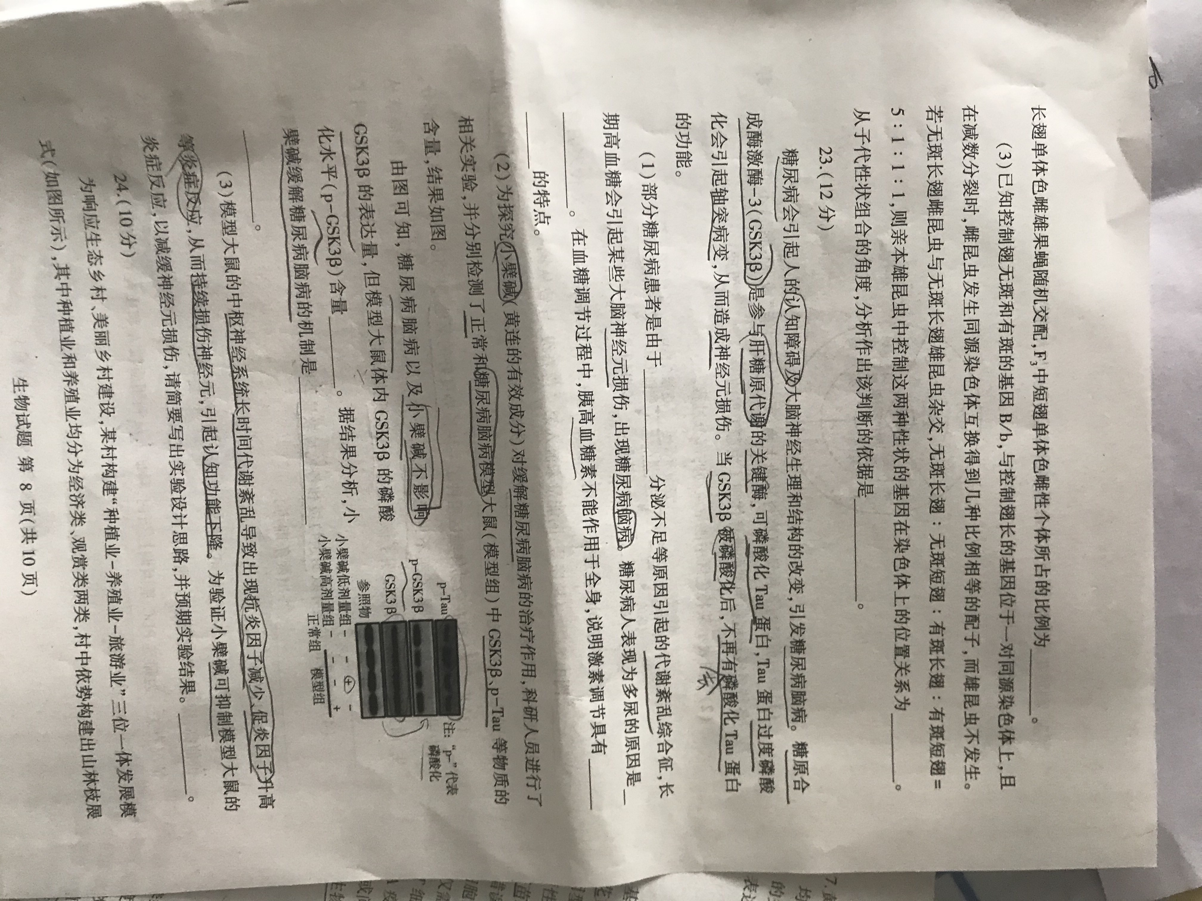 2024年9月15日铸造砂价格行情最新价格查询