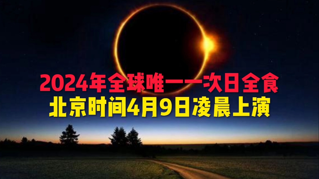 2024年9月15日棕刚玉报价最新价格多少钱