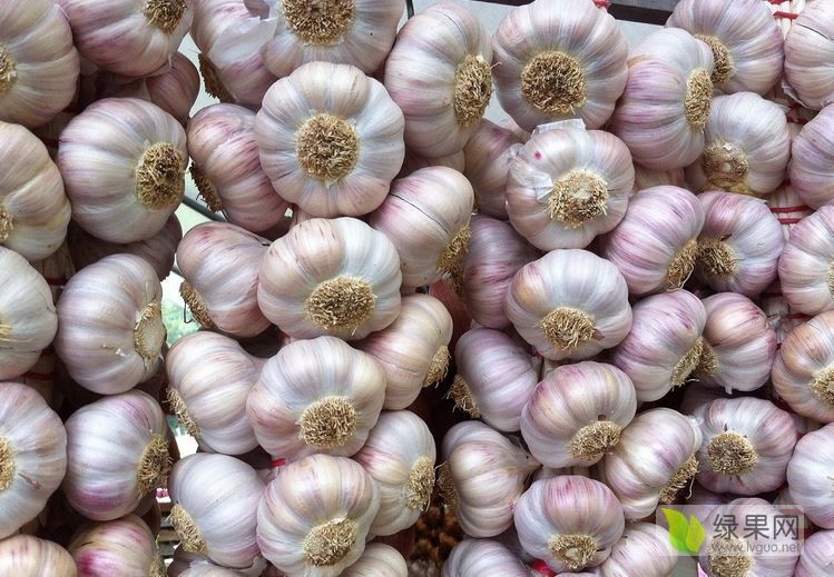 2024年9月19日今日氧化镥价格最新行情消息