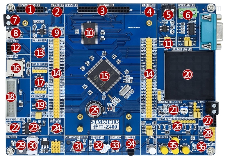 2024年9月20日泉州普中板价格行情今日报价查询