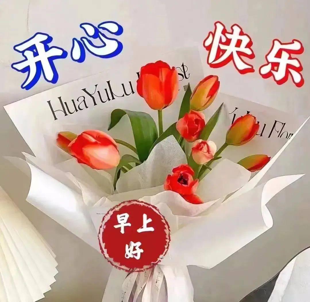 2024年9月23日今日氧化镨价格最新行情走势