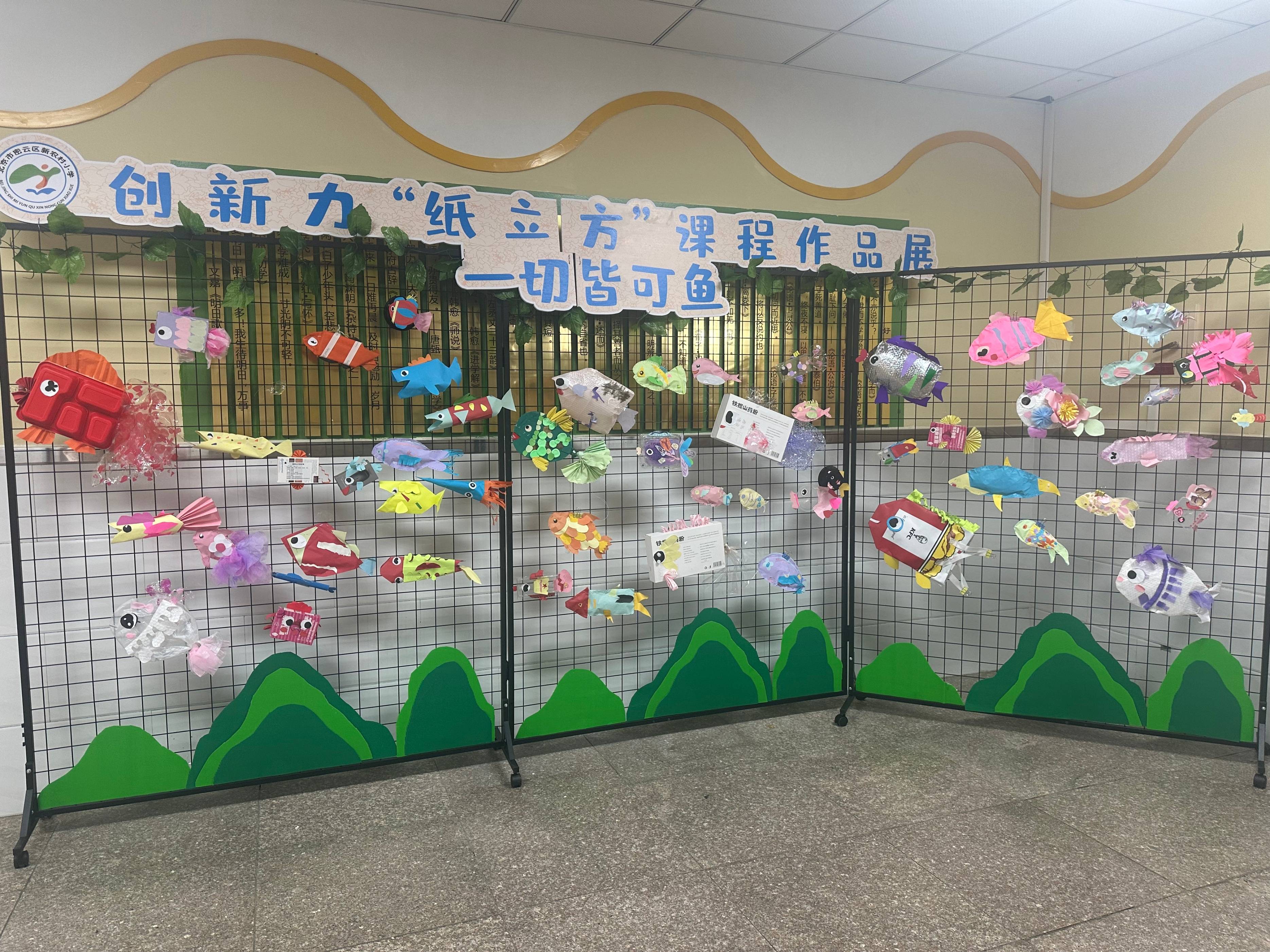 @科技玩家许辉：“水火箭”点燃学子航天梦