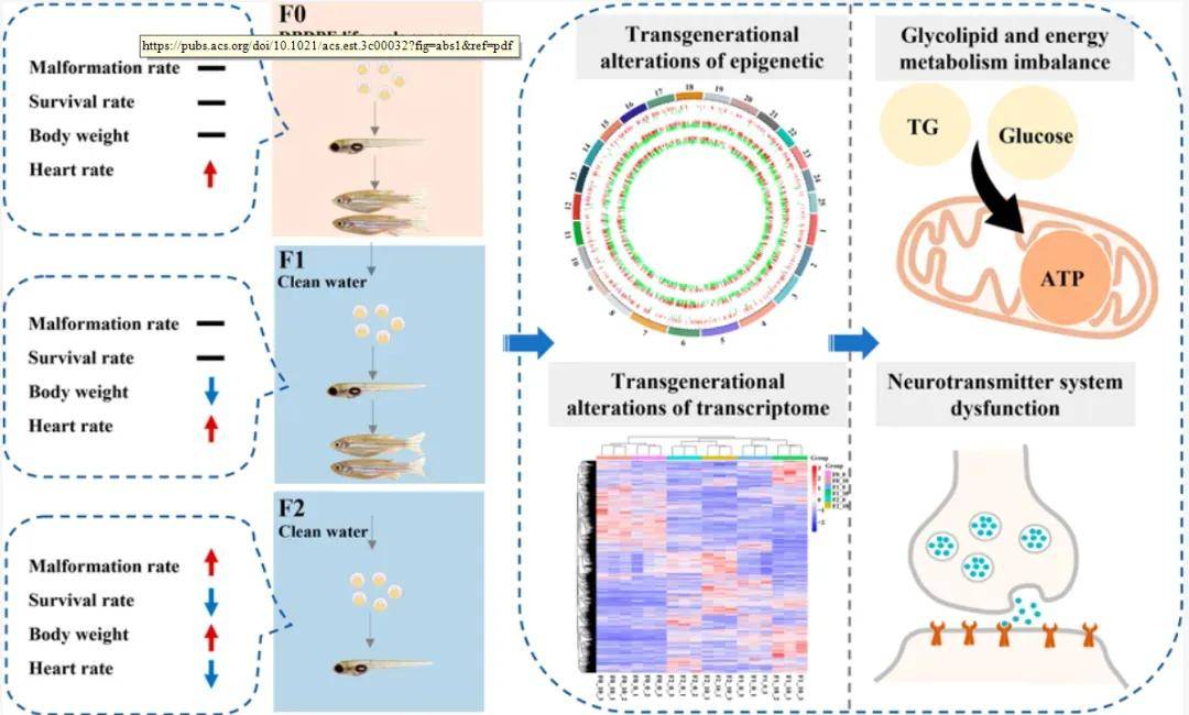 电池性能退化原因揭示