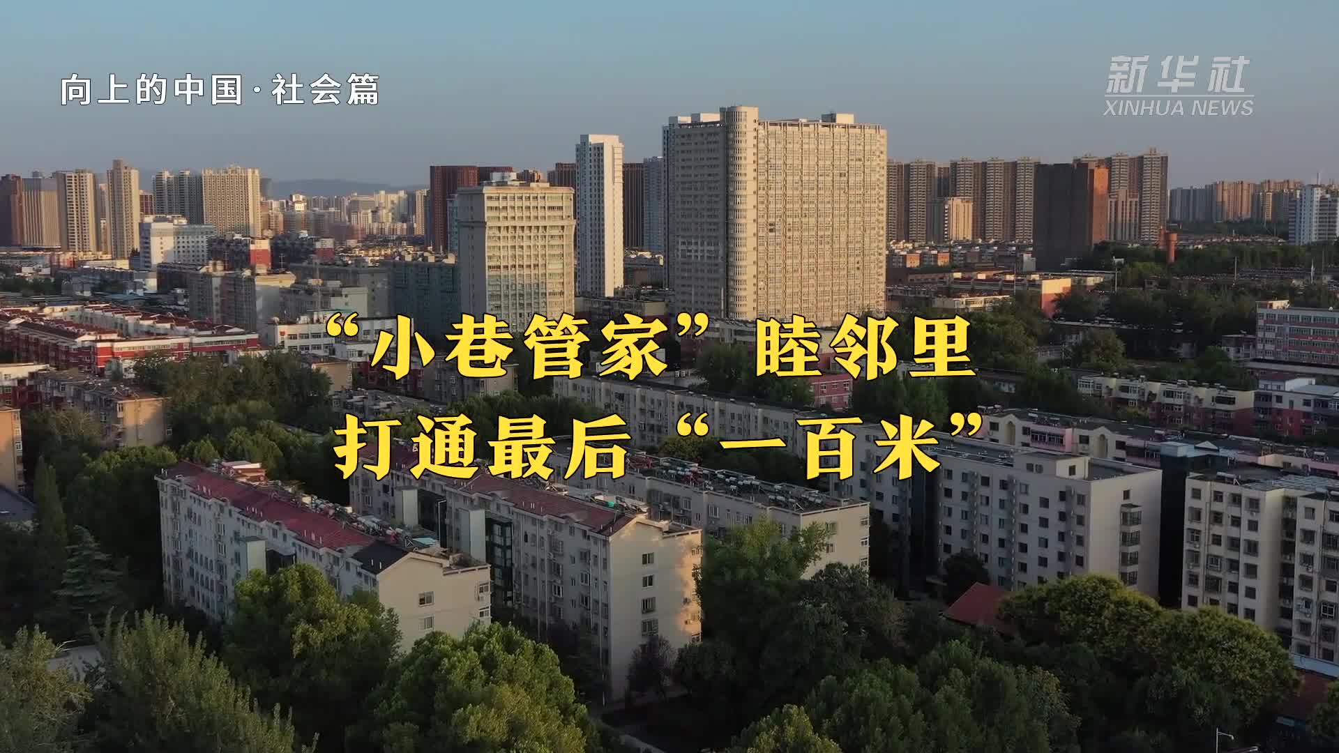 奋进强国路 阔步新征程｜向上的中国·从“实验室”走向“应用场”：国产机器人迈向智能新时代