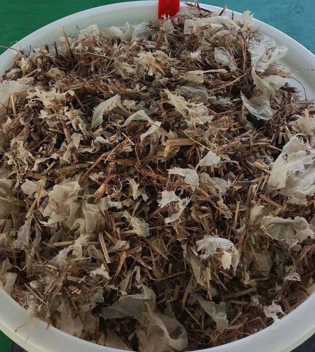 民生直通车|网购前货比三家 理性辨识“第三方测评”信息