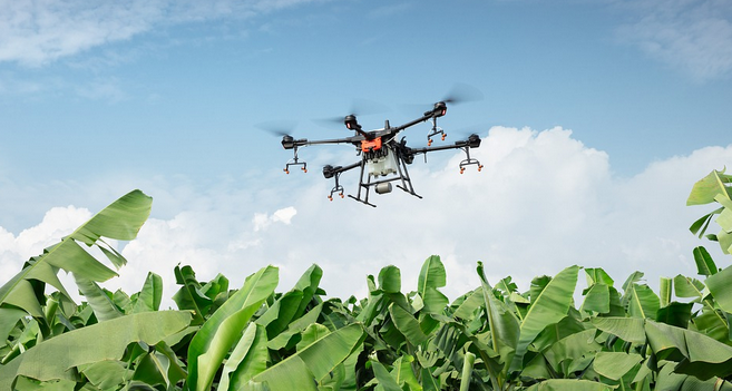 自主研发！中国“慧眼”系统将开展病虫害智能监测预警