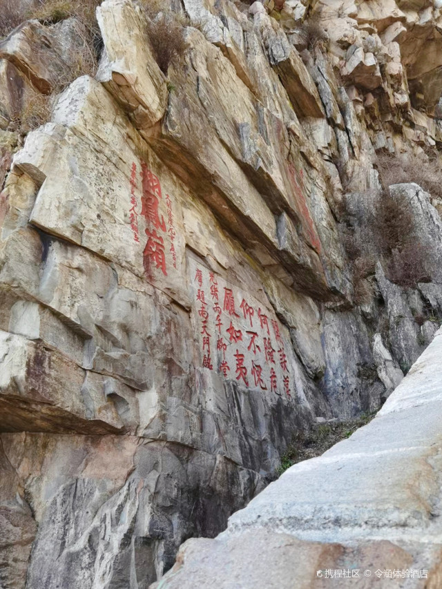 泰山盘道上机器狗引网民关注 速度很快！能驮人吗？