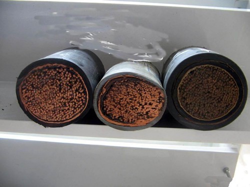 2024年10月22日火烧线价格行情今日报价查询