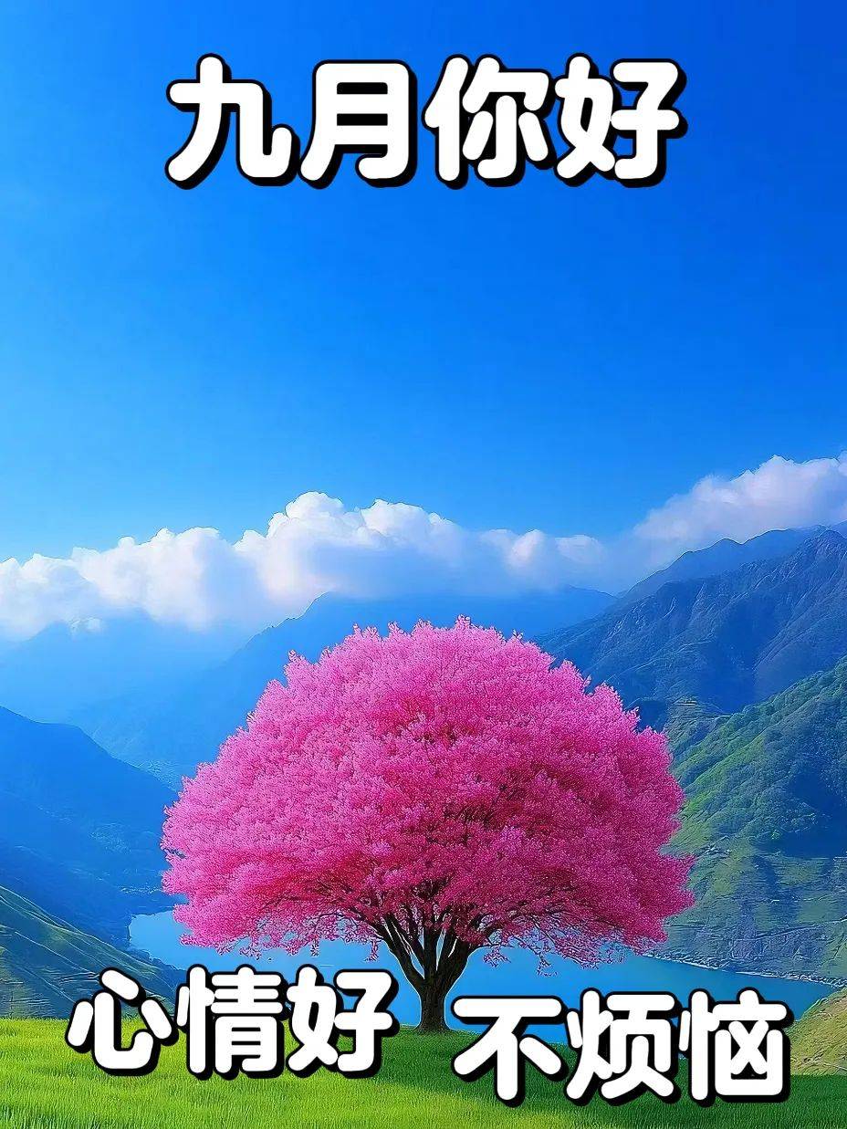 2024年11月25日今日钐铕钆富集物价格最新行情消息