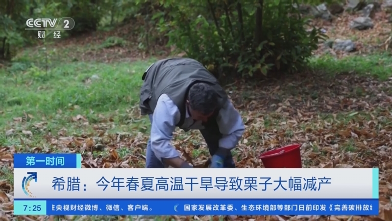 西南地区大幅减产工业硅 期现基差仍较大