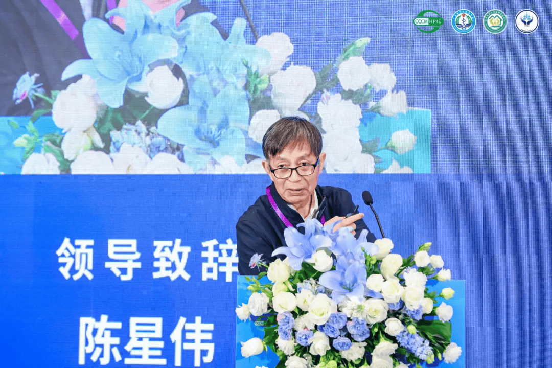 深港通稳健运行八年 为粤港澳大湾区高质量发展注入不竭动能