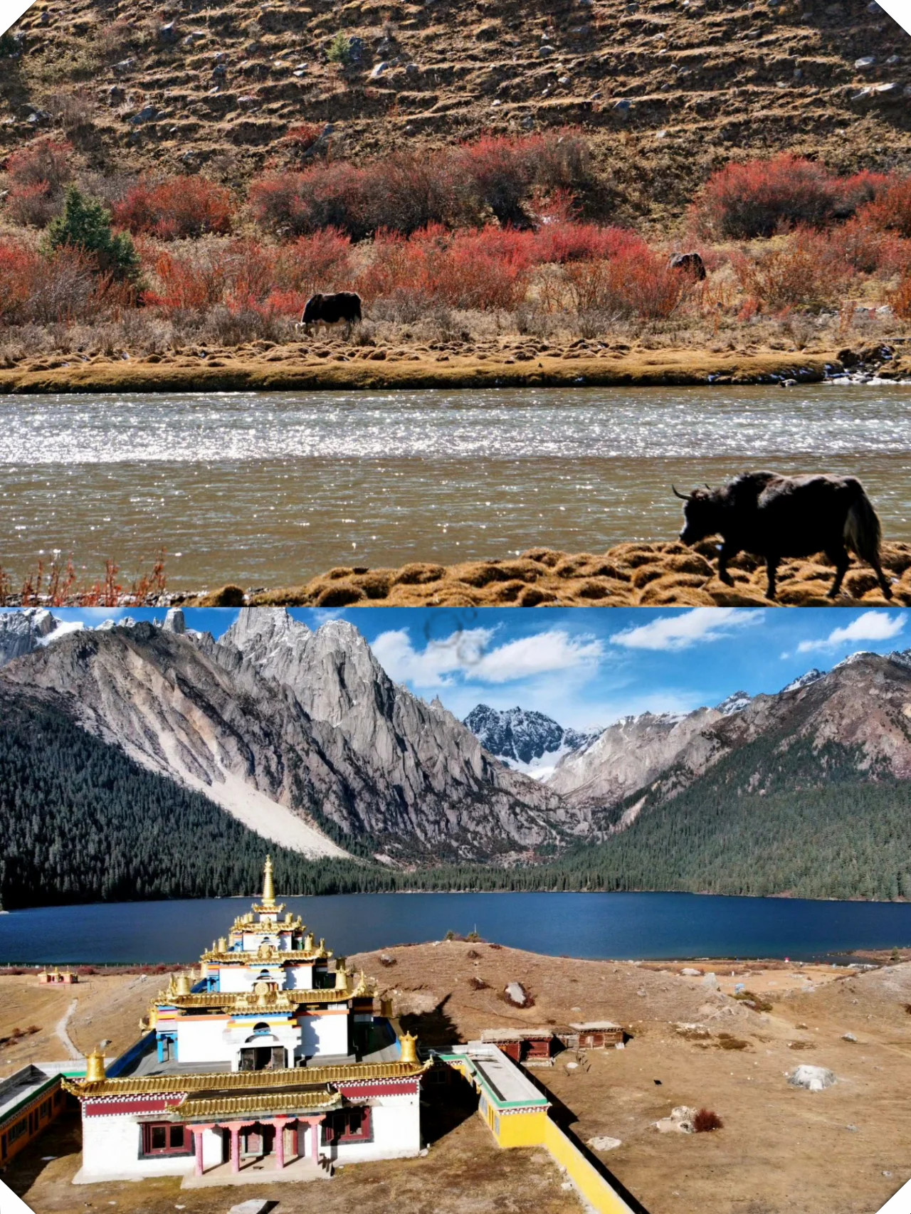 2024年12月17日今日白铜带价格最新行情走势