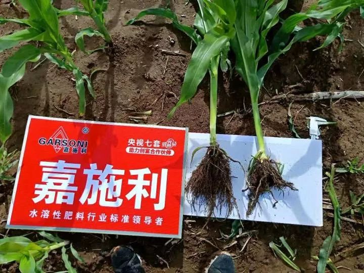 2024年12月17日今日粗锌(98.5%以上)价格最新行情消息