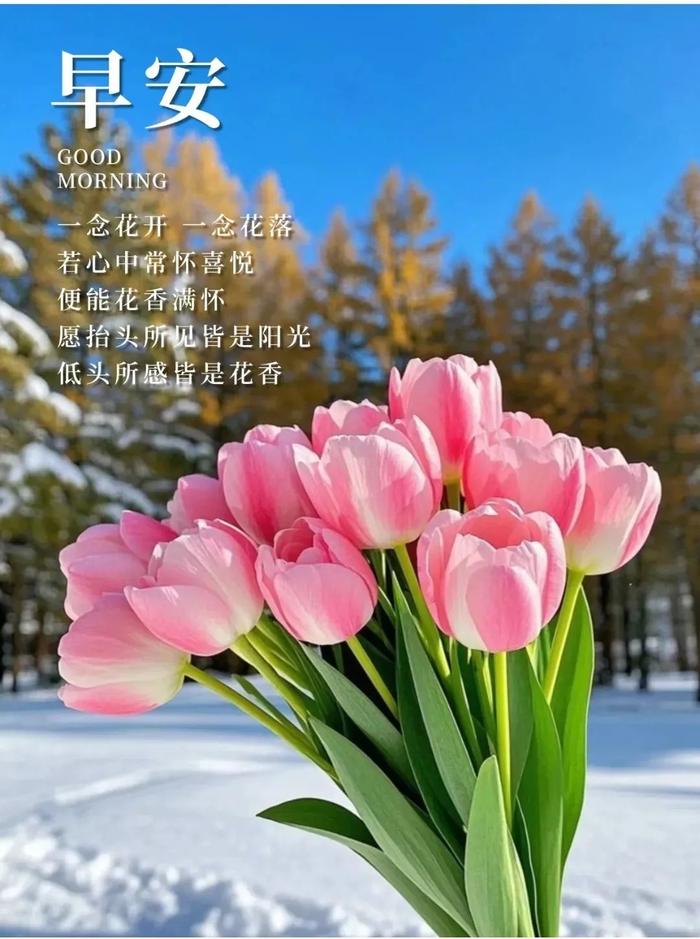 2024年12月24日今日氧化铕价格最新行情消息