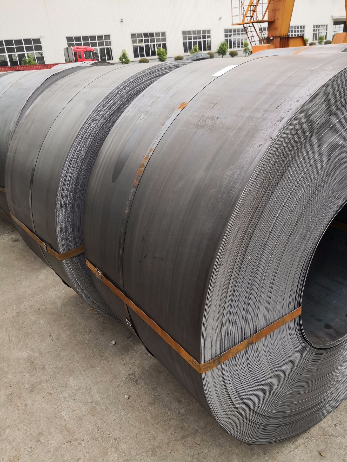 2024年12月26日今日现货热轧卷板最新价格