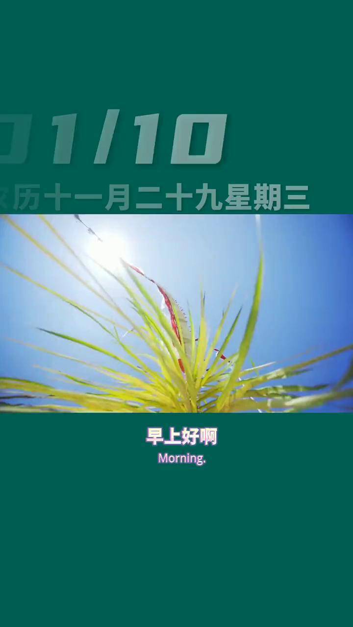 2024年12月29日今日绿沸石价格最新行情消息