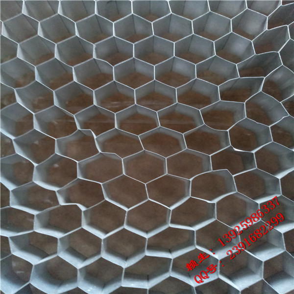 2025年1月3日今日泉州镀铝锌彩涂板卷价格最新行情走势