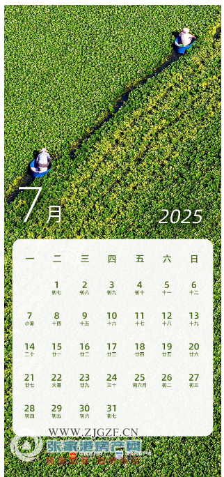 2025年1月16日今日萤石价格最新行情消息