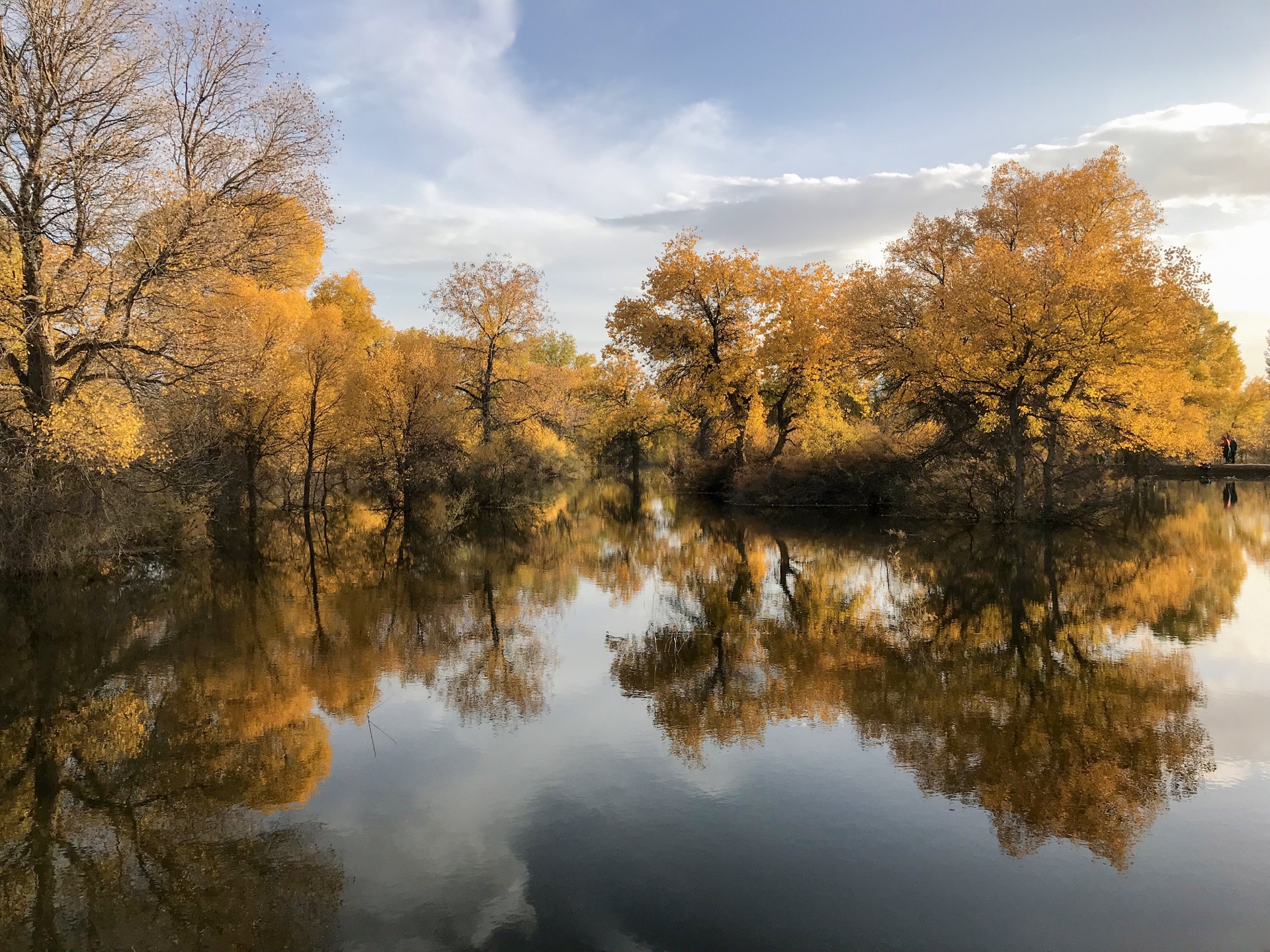 “地方版”支持资本市场发展举措释放出什么信号