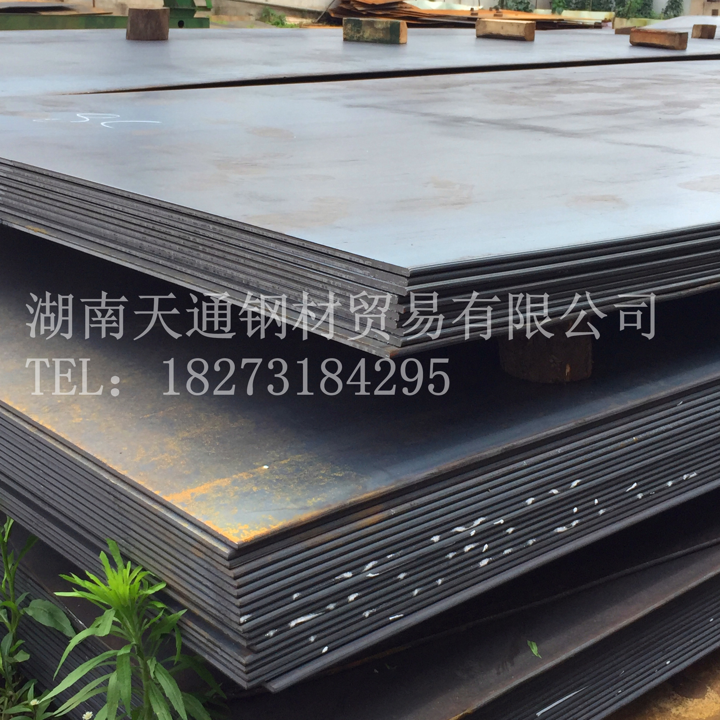 2025年1月23日沈阳热轧开平板报价最新价格多少钱