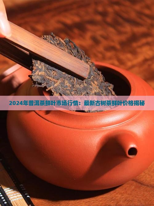 2025年1月24日钆铁合金价格行情今日报价查询