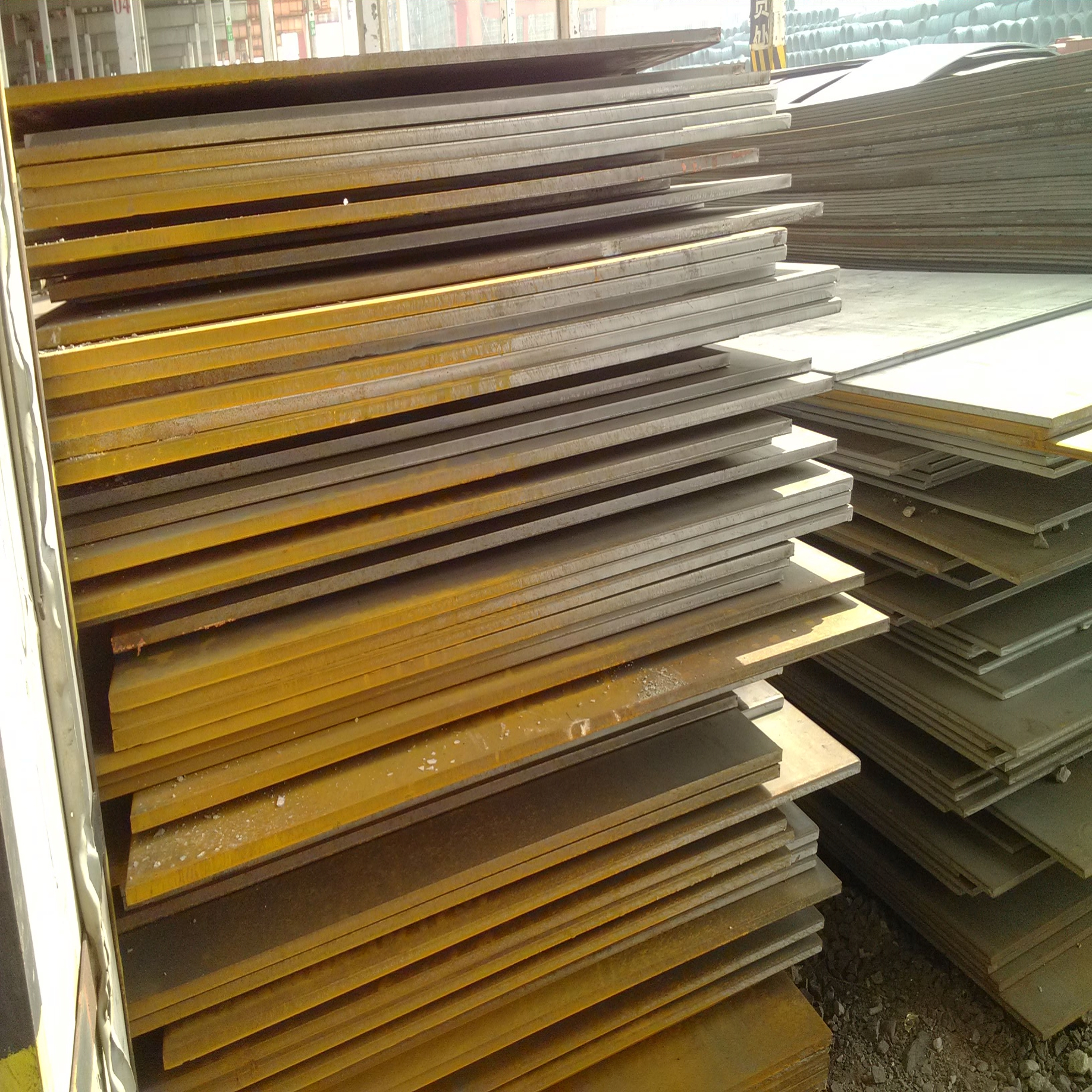 2025年2月5日沈阳普中板报价最新价格多少钱