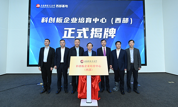 上交所新年首期审核动态发布 明确中介机构违法违规三大核查要求