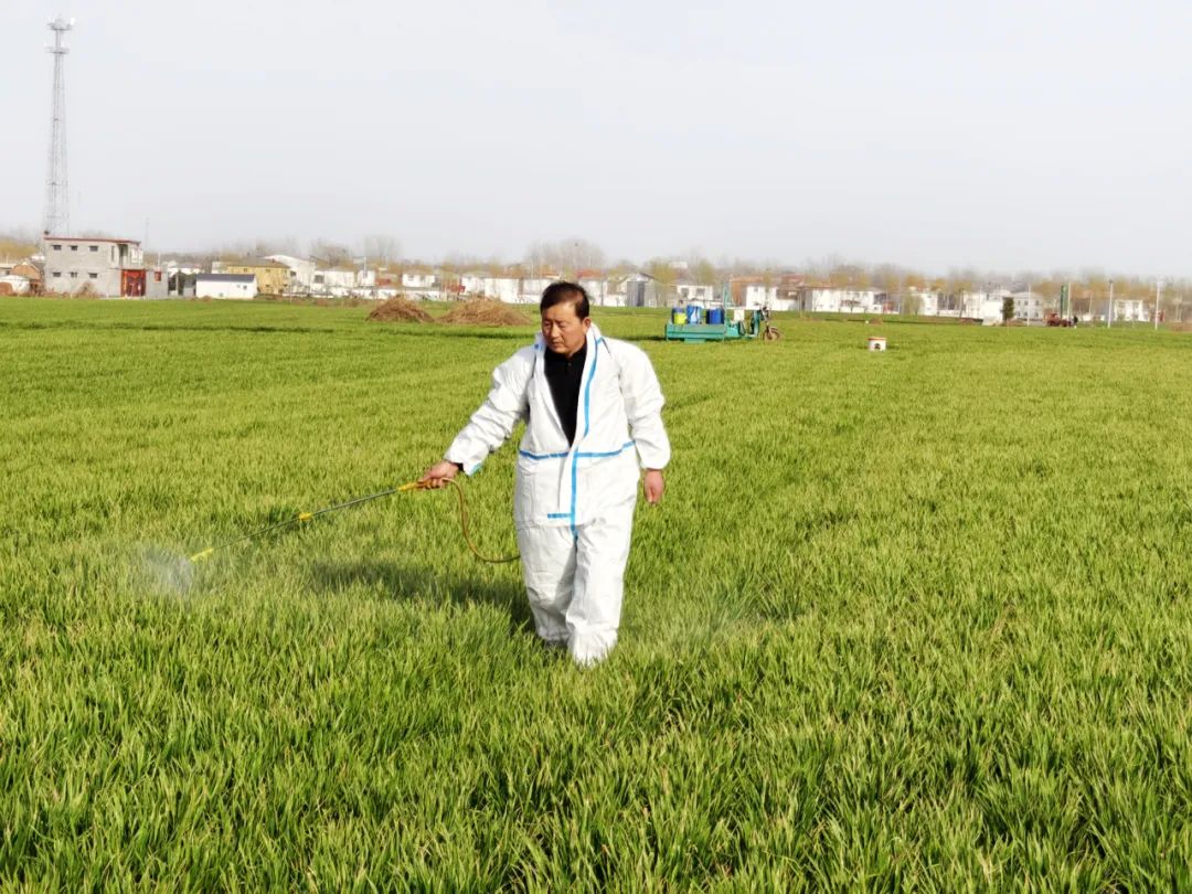 镜头里的春日经济——春耕里的“科技范儿”