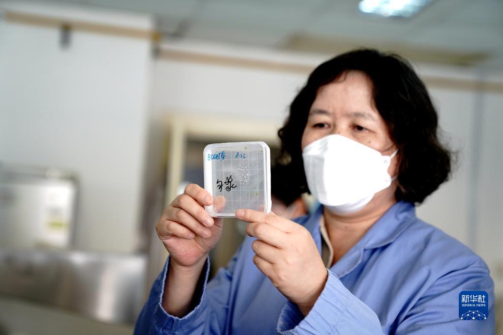 新华全媒+丨综合极端条件实验装置通过国家验收