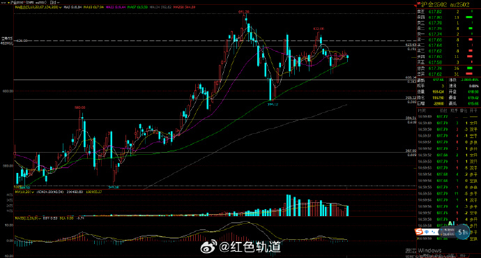 3月13日沪金期货持仓龙虎榜分析：空方离场情绪高涨