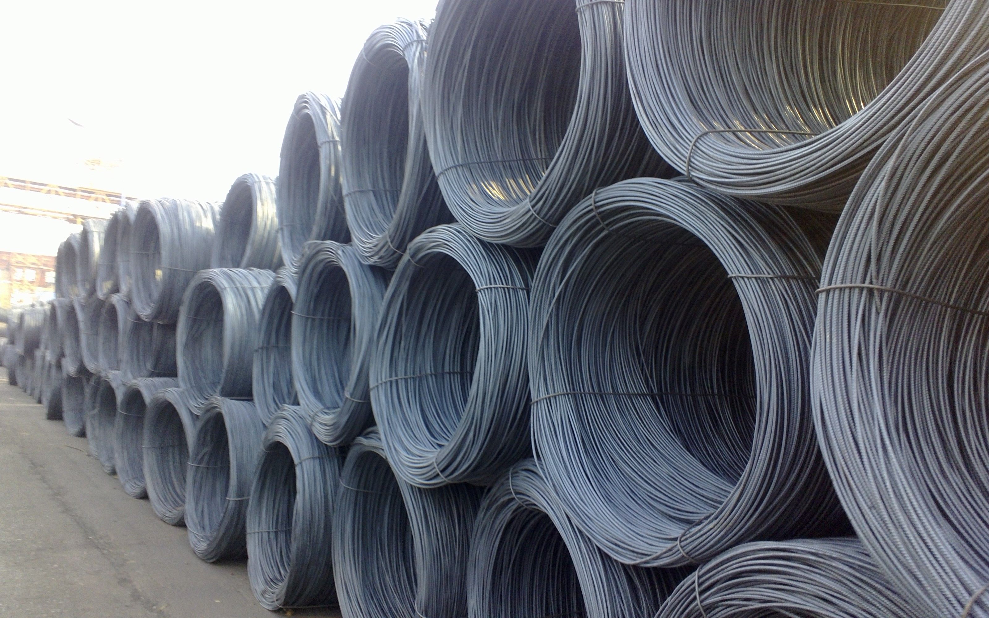 3月13日螺纹钢期货持仓龙虎榜分析：国泰君安期货减仓16451手空单