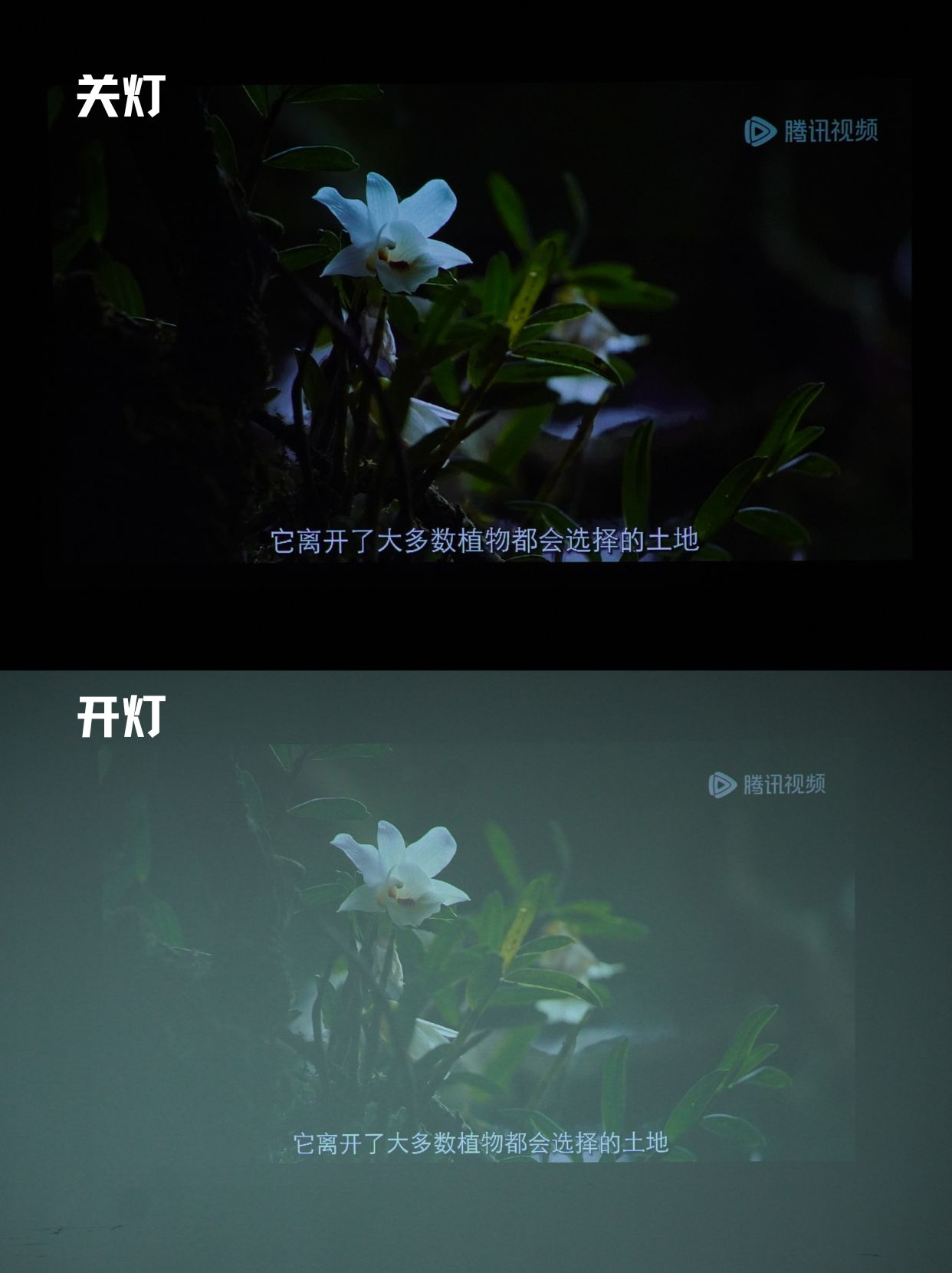 通用具身智能平台“慧思开物”在京发布