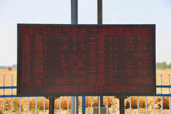 新华全媒+|“天上导”“地里察”“空中拍”……看关中平原麦田里的“立体智慧”