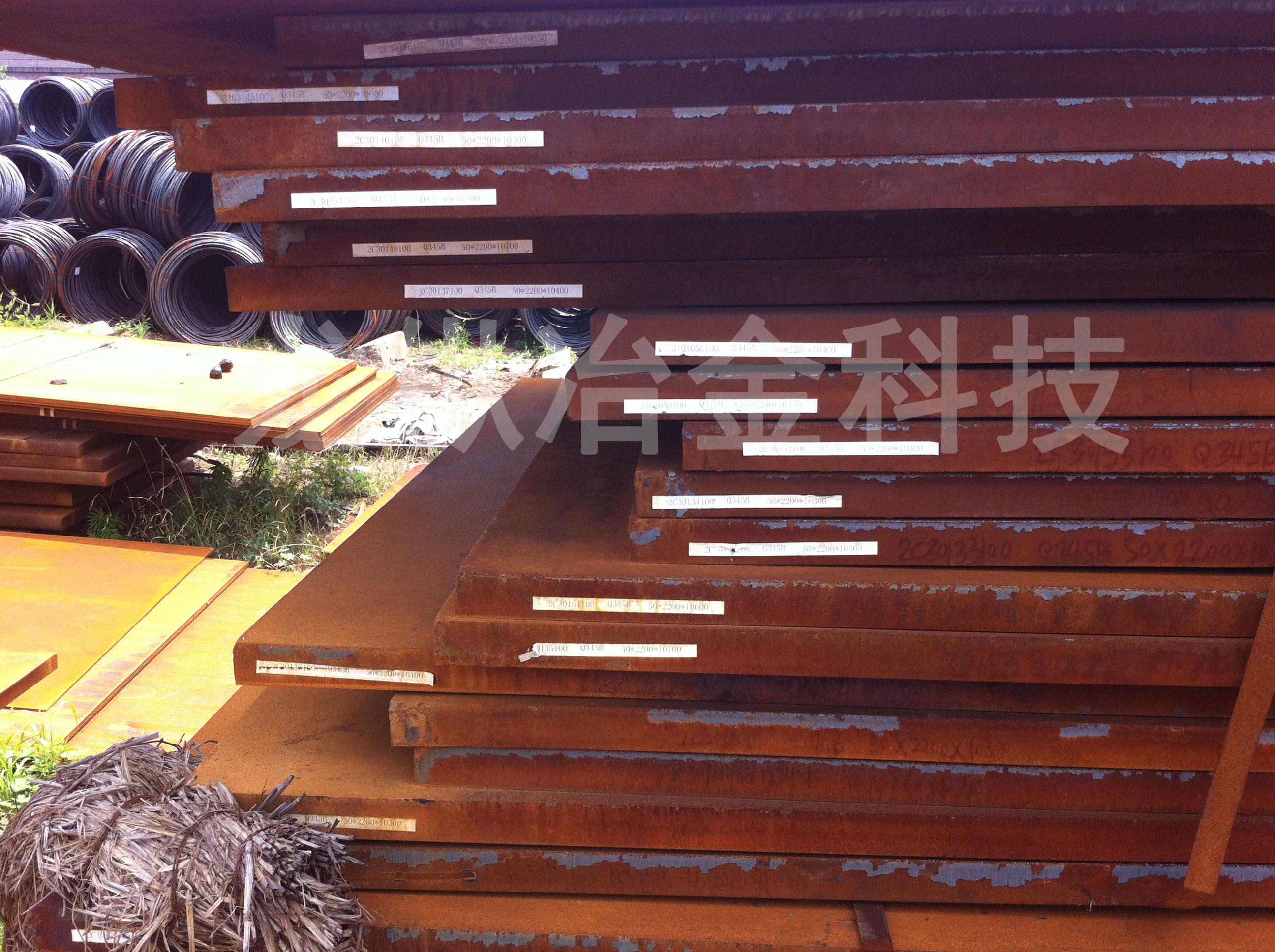 2025年3月14日最新沈阳低合金开平板价格行情走势查询