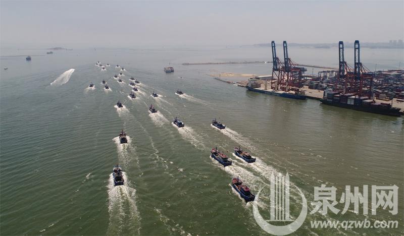 2025年3月20日今日泉州普厚板最新价格查询