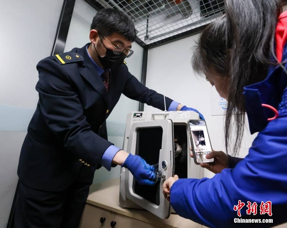 高铁宠物托运：“智能监测+运输箱”打造萌宠专属舱