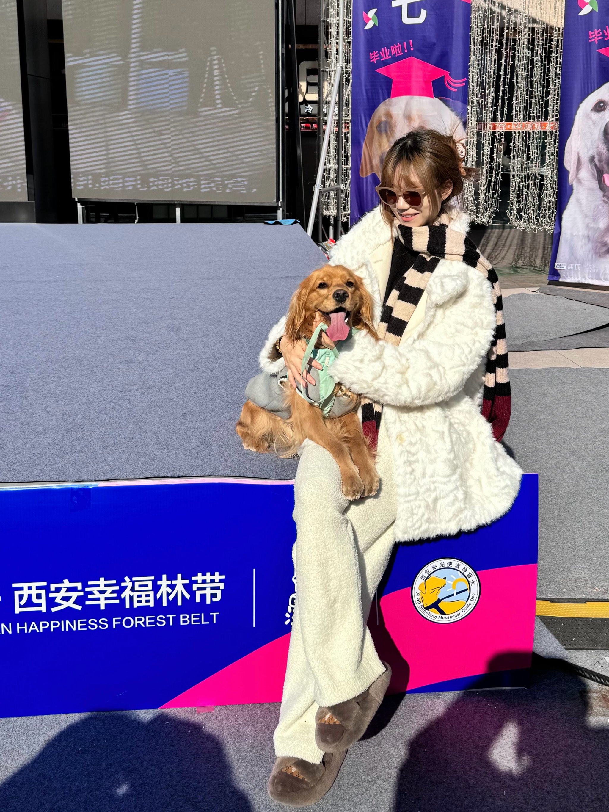 机器人助力幸福生活|电子导盲犬让视障人士“看见”生活点滴