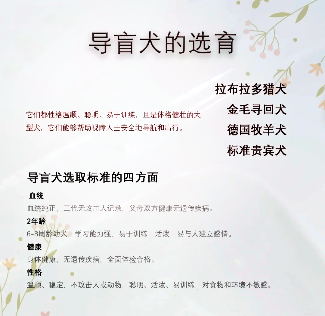 机器人助力幸福生活｜电子导盲犬让视障人士“看见”生活点滴