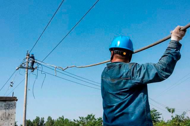 浙江绍兴：“机器狗”上岗助力迎峰度夏