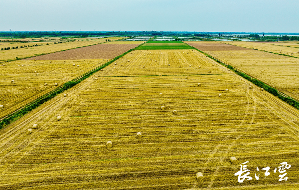 机械城堡”为小麦智能“控水”