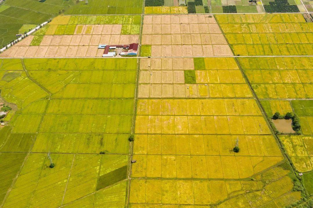 完善长效机制 让“稳”的底气更足