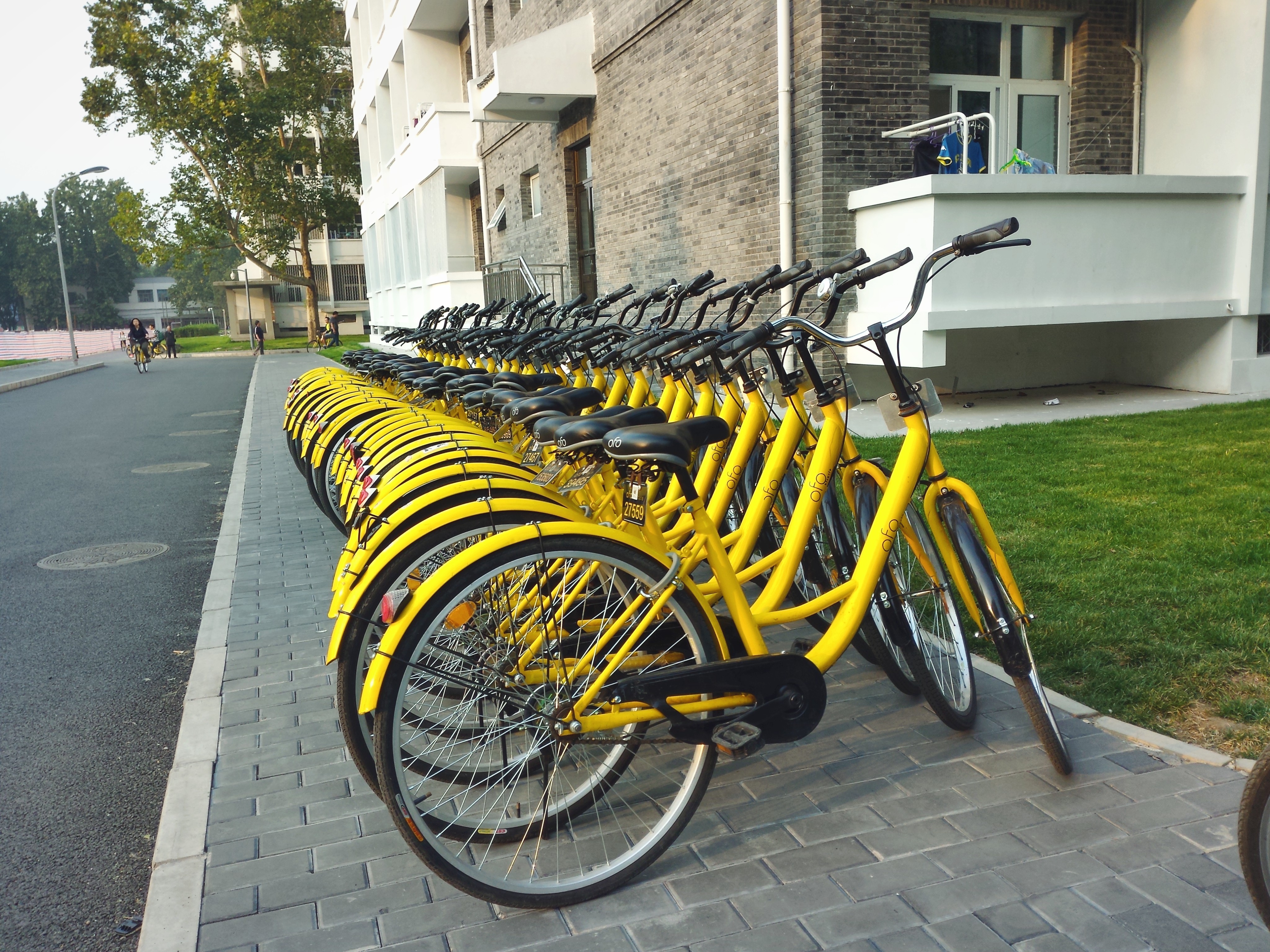 浙江杭州：共享单车接入北斗系统 探索“北斗+出行”治理新模式