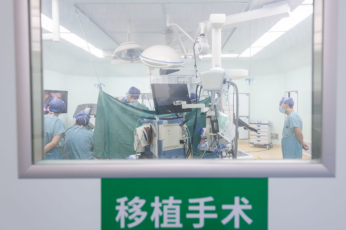 世界首例！中国团队将基因编辑猪肺成功移植人体