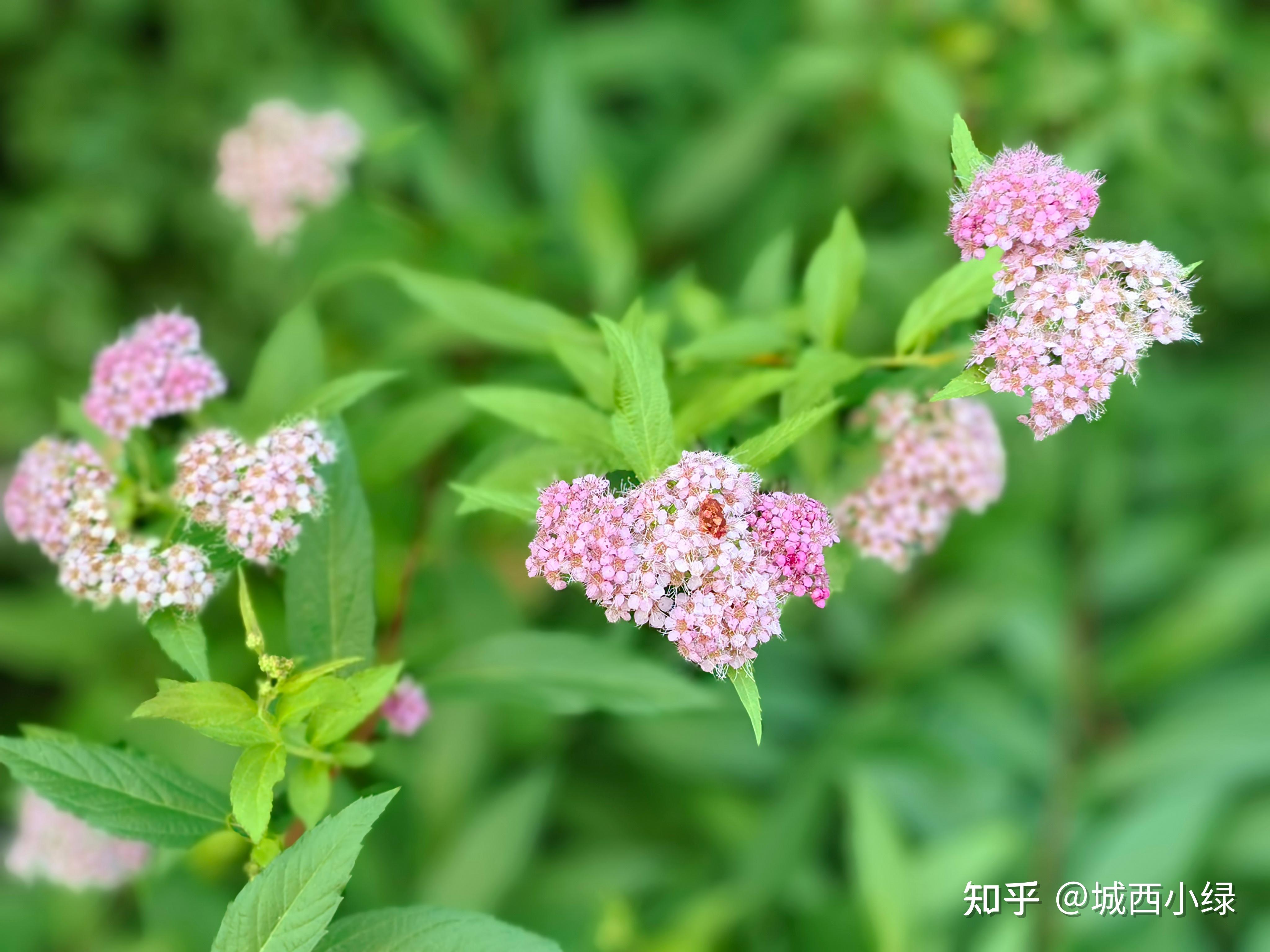 技术筑基+绿色转型 北交所上市公司多维谋发展