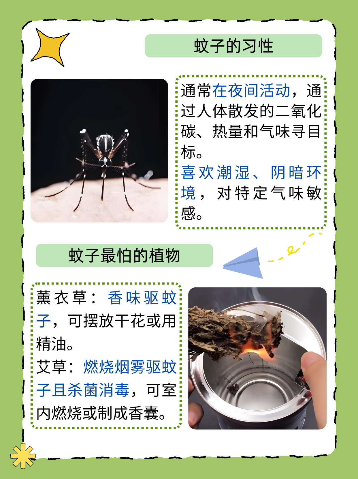 唠“科”话丨为啥蚊子总叮你?“招蚊”跟血型相关?