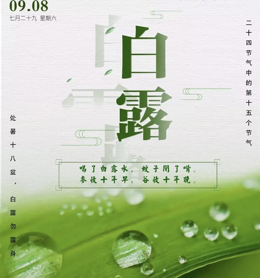节气物候图鉴:白露至凉意生 全国玉露生凉地图看哪里率先迎秋凉